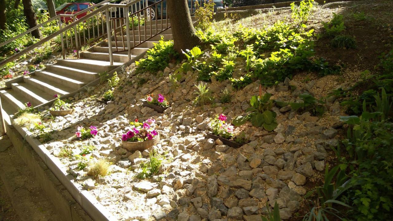 Gesztenyes Apartman Miskolc Exterior foto